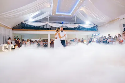 Dj Felipe - Dj/Wodzirej